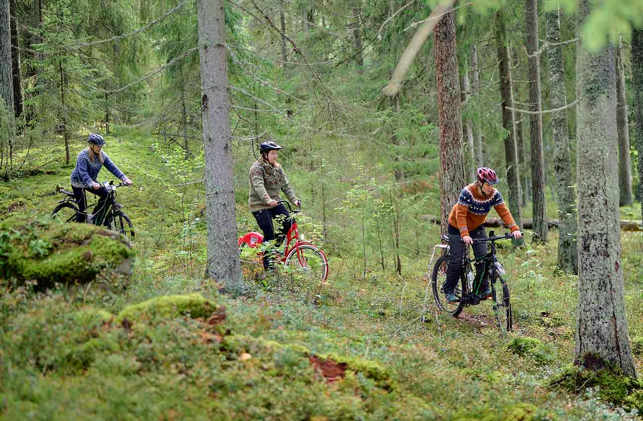 Pyöräily metsässä Biking in the woods